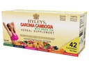 HYLEYS Tee Garcinia Cambogia Grüner Tee mit sortierten Aromen - 42 Teebeutel