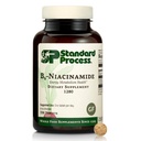 Standard-Prozess B6-Niacinamid - Unterstützung Energie Metabolismus & Herzgesundheit - Aids Verdauungs- & Blut-Kirkulationssysteme - Glutenfrei, Non-Dairy & Non-Soy - 90 Tabletten (90 Portionen)