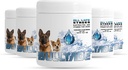 Natural Dog Supplement mit 18 Vitaminen, Mineralien und Elektrolyten. Mischt sich mit Wasser oder Essen. (Hähnchen 5 Pack)