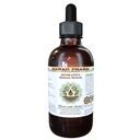 Hawaii Pharm Rehmannia Alkoholfreie Flüssigextrakt, Professional Grad, Kleine Batch Rehmannia (Rehmania Glutinosa) Getrocknete Wurzel Glycerit 2 Unze