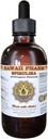 HawaiiPharm Spirulina Liquid Extract, Bio Spirulina (Arthrospira platensis) Tinktur, Kräuterergänzung, Made in USA, 2 fl.oz