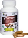 Sayan 7 Pilzextrakt 90 Kapseln/440mg ea – Immununterstützung & Energie – Organic Chaga, Reishi, Lion's Mane, Maitake, Shiitake, Turkey Tail Adaptogen Blend – Vegan, Non-GMO, Keine Füllstoffe oder Additive