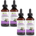 Maxx Herb Passion Blumenextrakt - Max Strength Passion-Flower Flüssigkeit absorbiert besser als Kapseln, für Entspannung und Stress Relief, Alkoholfrei - 4 Flaschen, 4 Oz Jeder (240 Servierungen)