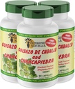 Sunshine Naturals Guisazo & Chancapiedra Kräutermischung, Natürliche Nahrungsergänzung für Wellness-Unterstützung, 90 Kapseln. Pack von 3