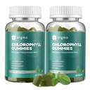 Chlorophyll-Gummien für Körper Odor Deodorant 2 Pack, Zuckerfreie Vitamine D Gummy 1000IU, ACV Spirulina Chlorella Kräuterergänzung für Frauen Immununterstützung Vegan Non-GMO