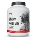 Niveaus Gras Fed Whey Protein Pulver, keine Künstlichkeiten, 24G Protein, Erdbeere, 5LB