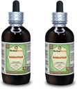 Bio Sassafras (Sassafras Albidum) Glycerit, getrocknete Blätter Alkoholfreier Flüssigextrakt (Markenname: HerbalTerra, Proudly Made in USA) 2x4 fl.oz (2x120 ml)