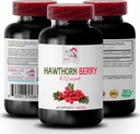 Hawthorn Beeren Extrakt Kapseln - HAWTHORN BERRIES EXTRACT - Beerenextrakt Pulver, wilde Beerenenergie, Hawthorn Energie Pillen, Hawthorn Beeren Tinktur, Antioxidantien Ergänzung für Frauen 1 Bot 60 Caps