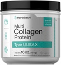 Horbäach Multi Collagen Protein Pulver 16 oz | Typ I, II, III, V, X | Unflavored | für Männer und Frauen | Non-GMO, Glutenfreie Ergänzung