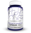 Nootropics Depot Polygala tenuifolia Kapseln | 100mg | 90 Count | 20:1 Extrakt | Yuan Zhi | Fördert kognitive Funktion, Lernen und Gedächtnis | Unterstützt gesunde Stress Levels | Adaptogen Supplement