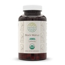 HerbEra Black Walnut USDA Organic 120 Kapseln | Natürliche Kräuterergänzung | Certified Organic Vegetarian Capsules and Organic Black Walnut (Juglans Nigra) Dried Hull (120 Kapseln)