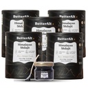 Besser Alt Pure Himalayan Shilajit Resin Pack von 5 High Potency Gold Grade 375 Servierungen für Energie Boost & Immune Unterstützung, 85+ Trace Minerals, 75% + Fulvic Acid, mit Lab Test Report, 400 mg