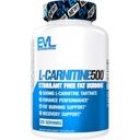 EVL L-Carnitin Ergänzung für Weight Loss Support - L Carnitin Tartrate für Cellular Energy Focus Endurance und Fat Burning Support - Stimulant Free Amino Acid for Fat Metabolism (120 Portionen)