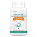 Orgabay Liposomal NAD+ Ergänzung 500 mg, hohe Absorption, Boost NAD+ mit TMG 250 mg, Actual NAD Plus Mehr Efficient Than Nicotinamid Riboside, Unterstützung Cellular Energy, Healthy Aging | 60 Softgels