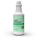 Nature's Sunshine Liquid Chlorophyll - Immunitätsunterstützung, Detox & Cleanse, Chlorophyll Flüssigkeitstropfen mit Spearmint Oil, Natural Energy Boost, interner Deodorant - 16 Fl Oz