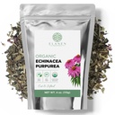 Bio Echinacea Purpurea 4 Unzen (113g), USDA Zertifizierter getrockneter Echinacea Tee, Premium-Qualität Kräuter, Purple Coneflower, Cut & Sifted