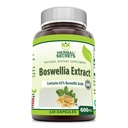 Kräutergeheimnisse Boswellia Serrata Extrakt (65% Boswellic Acids) 600 mg 120 Kapseln Ergänzung - Non-GMO - Glutenfrei