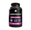 PURE ORIGINAL INGREDIENTS Andrographis Paniculata, (365 Kapseln) Immer rein, keine Zusatzstoffe oder Füllstoffe, Lab Verifiziert
