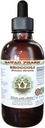 Broccoli Alkoholfreie Flüssigextrakt, Bio Broccoli (Brassica Oleracea) Seed Glycerite Hawaii Pharm Natural Herbal Supplement 2 oz