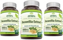 Herbal Secrets Boswellia Serrata Extrakt (65% Boswellic Acids) 600 mg Kapseln Ergänzung | Non-GMO | Glutenfrei (120 | 3 Pack)