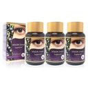 Vision Smart Supreme - Superior Eye Supplement, Premium Nutraceutical Ingredients mit 210 mg reine Anthocyanine von D3R und C3R, Veggie Kapseln. Produkt von USA (3 Flaschen)