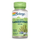 SOLARAY Bladderwrack Kapseln 580 mg - Nährstoff-Packed Seaweed Supplement, hoch in Iodine - Balanced Herbal Support - Vegan, Non-GMO, 60-Day Garantie, Lab Verified - 100 Servierungen, 100 VegCaps