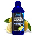 Parker Naturals Konzentrat L-Carnitin Flüssigkeit, 5000mg Alle natürlichen Citrus Flavored L-Carnitin Ergänzung, flüssige L-Carnitin mit Vitamin V5, 16.23 Fl. Oz