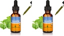 Herb Pharm Certified Organic Cilantro Extract for Cleansing and Detoxification Support - 1 Unze (Pack von 2)