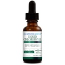 Genehmigte Wissenschaft flüssige Chlorophyll - 2 fl. Oz. - 60 mg ChloroAbsorb - Mulberry Blatt Extract - Erregt den Körper - Verdauungs- und Immununterstützung - Natürliches Deodorant und Detox - Vegan - Made in USA