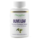 Paradise Kräuter Olivenblatt Extrakt aus spanischen andalusischen Olivenbäumen, Super Potent, Ultra Pure, Non-GMO, Vegan, Glutenfrei, 60 vegetarische Kapseln