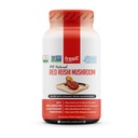 Frische Ernährung Bio Reishi Mushroom Kapseln - Reich an Alpha Glucan - Ganoderma Lucidum & Ganoderma Applanatim - Third Party Tested - 90 Kapseln/Pills