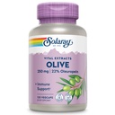 SOLARAY Olive 250mg - Olive Blatt Extrakt Kapseln mit 22% Oleuropein, Plus Zitronenbalsam - Polyphenole Ergänzung für Wellness-Unterstützung - Vegan, 60-Tage Garantie, Lab Verified - 120 Servietten, 120 VegCaps