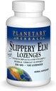 Planetary Kräuter Slippery Elm Lozenges, 100 Graf