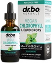 Chlorophyll Flüssigkeitstropfen Körper-Detox - Vegan flüssige Chlorophyll Tropfen Odor Cleanse Supplement, Energie- und Immununterstützung, interner Deodorant, Körper-Deodorierung Ergänzung - natürliches Deodorant Wasser 2 oz