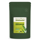 Banyan Botanicals Bhumyamalaki Powder – Organic Liver Health Supplement* – Phyllanthus spp. – für natürliche Entgiftung und Reinigung der Leber* – 1/2 Pound – Non GMO Sustainable Sourced Vegan