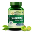 Vlado’s HIMALAYAN ORGANICS L-Carnitine L-Tartrate With Green Tea Extract 2000 Mg | Healthy Weight Management | Supports Muscle Recovery, Boost Energy, Endurance And Fat Burn -120 Vegetarian Tablets