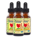 CHILDLIFE ESSENTIALS Echinacea für Kinder - Kinder Echinacea Tropfen, Flüssige Tinktur, Alkoholfreie Ergänzung für Babys, Kleinkinder, Kinder - Natürliche Orange, 1 Fl Oz (Pack von 3)