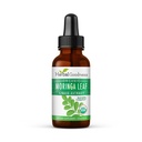 Kräutergut Moringa Blatt Extrakt