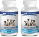 Hund Harn Inkontinenz - DOG URINARY TRACT SUPPORT - NATURAL CRANBERRY SOLUTION - BLADDER HEALTH - VET EMPFEHLEN - bio Cranberry-Extrakt für Hunde - 2 Flasche (180 Bäume)