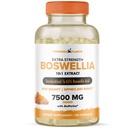 Boswellia Serrata Extract Joint Support Supplement von Pflanzen – 65% High Potency Boswellic Acids mit BioPerine – unterstützt Immunität, Mobilität & Flexibilität – 120 Vegan Capsules