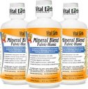 Vital Earth Minerals Fulvic Humic Mineral Blend Liquid 3-Pack – Fulvic Acid Supplement mit 70+ Trace Minerals, Elektrolyte für Erholung, Balance & Energy, 32 Oz Ea + 1 Oz Cup Ea