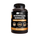 Pure Original Zutaten Boswellia Serrata (365 Kapseln) Kein Magnesium oder Reisfüller, Immer rein, Lab Verifiziert