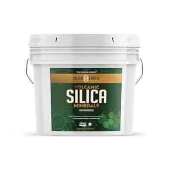Vulkanische Kieselsäure Mineralien Mikronisiert- 10 lbs