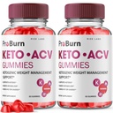 rize labs - Pro Burn Keto ACV Gummis, Advanced Formula Support Weight Loss, All Natural Apple Cider Supplement, Keto + ACV Pro Burner Gummy (120 Gummis) (Pack of 2)