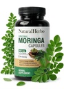 Pure Moringa Capsules - Pure Moringa Leaf Extract for Natural Energy, Digestion & Daily Wellness | Green Superfood Supplement | Vegan, Non-GMO, Gluten-Free | 120 Capsules (800mg)