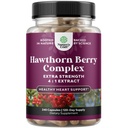 High Strength Hawthorn Berry Capsules - Pure Antioxidant Hawthorn Berry Supplement mit Blatt &amp; Blume Extrakt 4:1 für gesunde Herz & Verdauung - Energieunterstützung für Männer & Frauen - 240 Count Pack