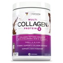 Multi Collagen Peptide Pulver für Frauen - hydrolysiertes Schokoladenkollagenpulver für Frauen mit Typen I II III V & X Vitamin C & Hyaluronsäure für Haarhaut und Nägel (Chocolate) - 30 Servietten