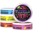 LyvWel 225mg Koffein-Energiebeutel | Nootropic Focus & Neuro Support | Tabakfreie, nikotinfreie, schnelle Energielösung | 5-Pack: 60 Beutel (5 Packung, Multi-Pack)