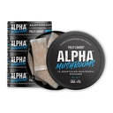 Vollständig geladen Alpha Pilze - Adaptogen Nootropic Pouches (5-Pack, Mint) - Lion's Mane, Cordyceps, & Chaga - 75 Pouches Total (5 Dosen, 15 Pouches per Can) - Functional Mushrooms - Made in the USA