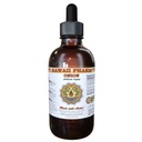 Onion Liquid Extract, Onion (Allium Cepa) Bulb Powder Tincture, Herbal Supplement, Hawaii Pharm, Made in USA, 4 fl.oz